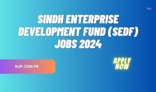 Sindh Enterprise Development Fund (SEDF) Jobs 2024 Apply Online